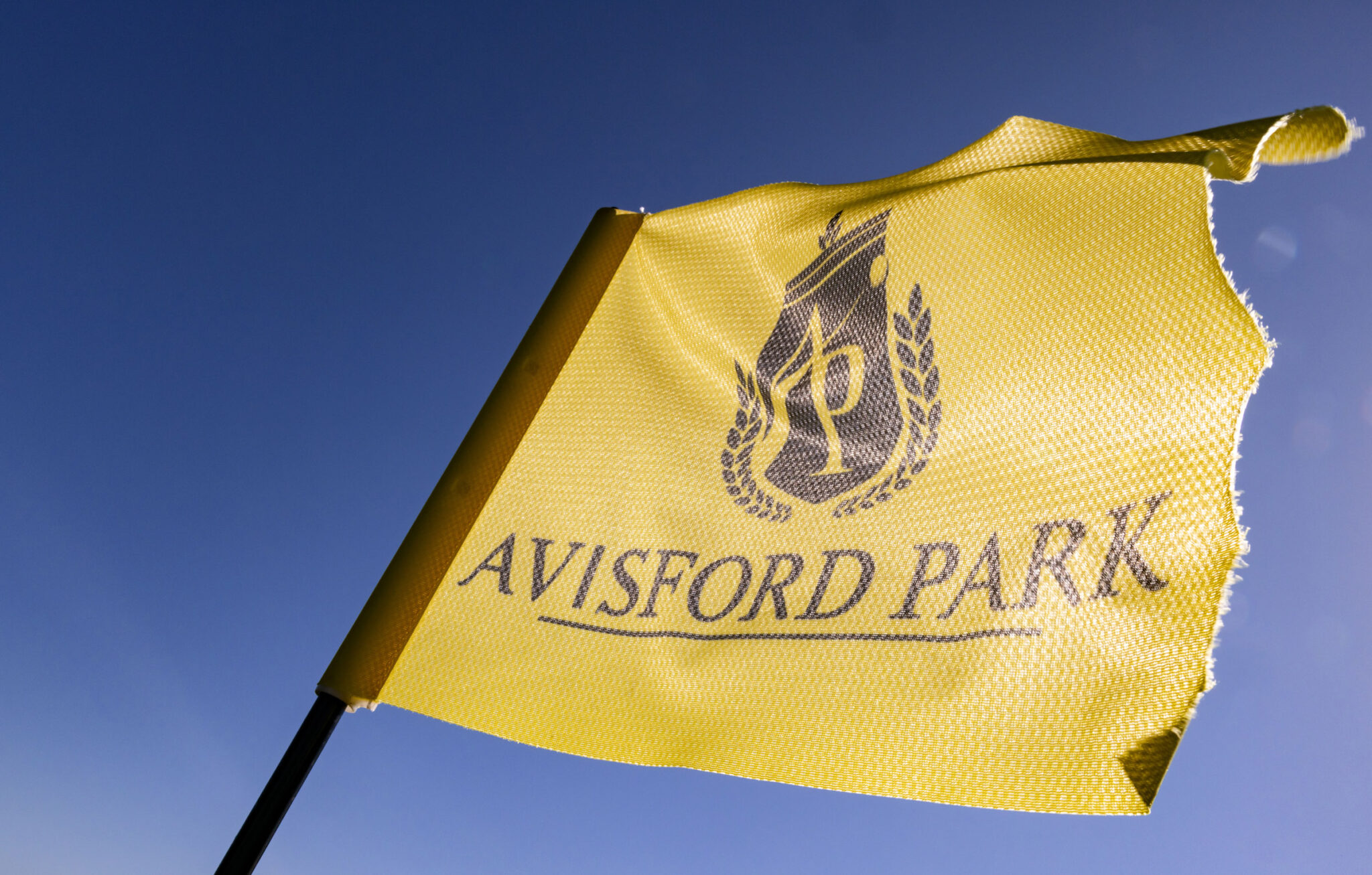 Golf Avisford Park Hotel golf-avisford-park-hotel